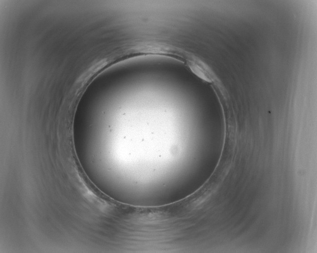 X0000083040433200702021156