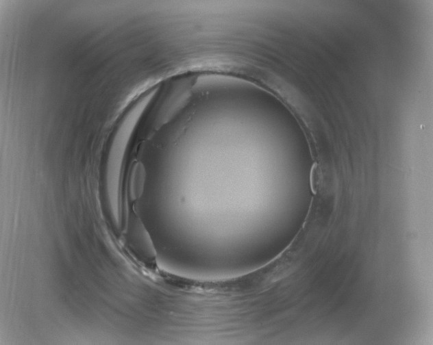 X0000083040434200702021156