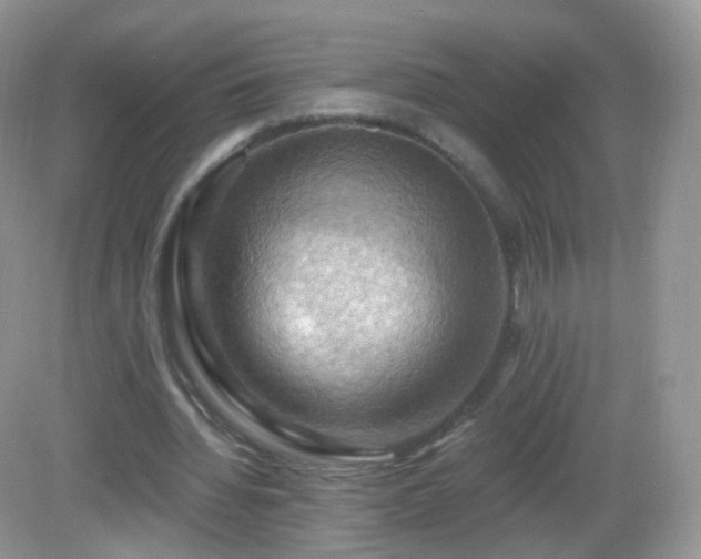 X0000083040436200702021156