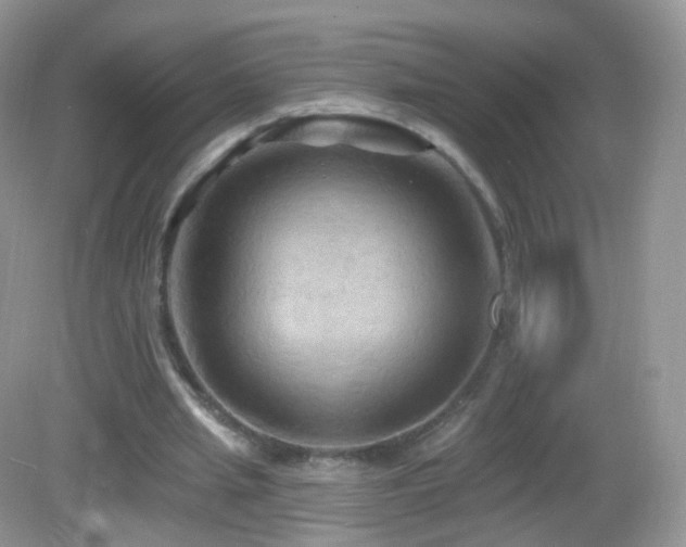 X0000083040437200702021156