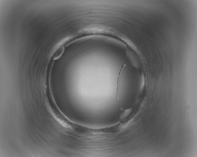 X0000083040438200702021156