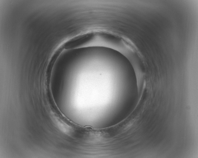 X0000083040439200702021156