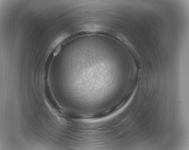 X0000083040440200702021156