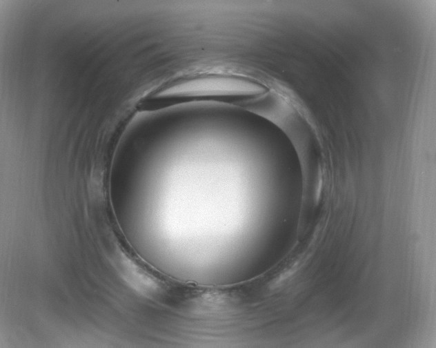 X0000083040441200702021156