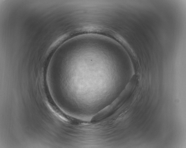 X0000083040442200702021156