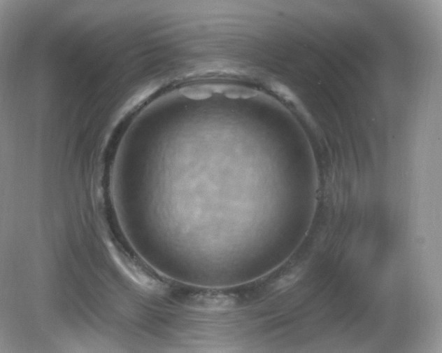 X0000083040443200702021156