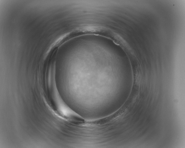 X0000083040444200702021156