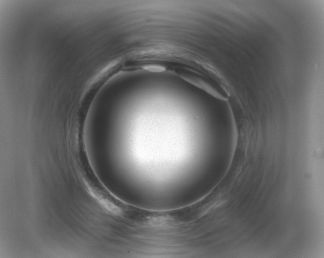 X0000083040446200702021156