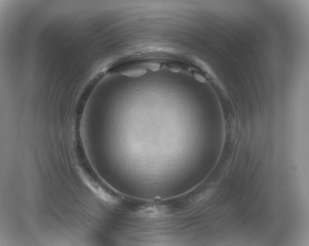 X0000083040447200702021156