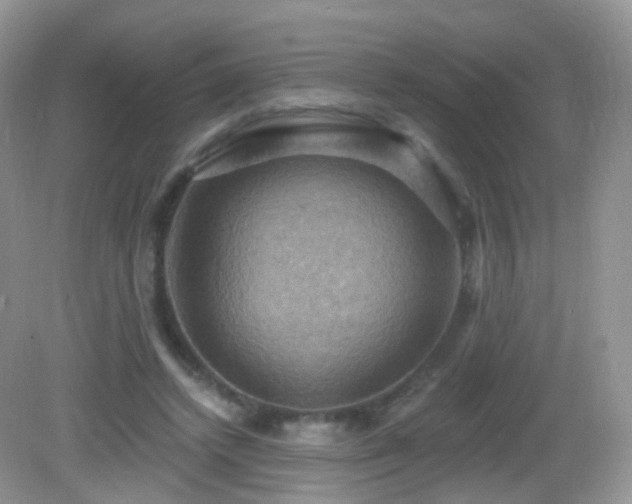 X0000083040448200702021156