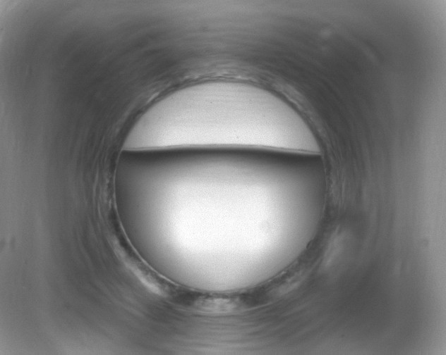 X0000083040449200702021156