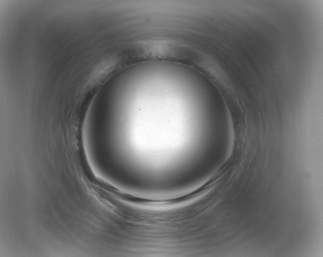 X0000083040450200702021156