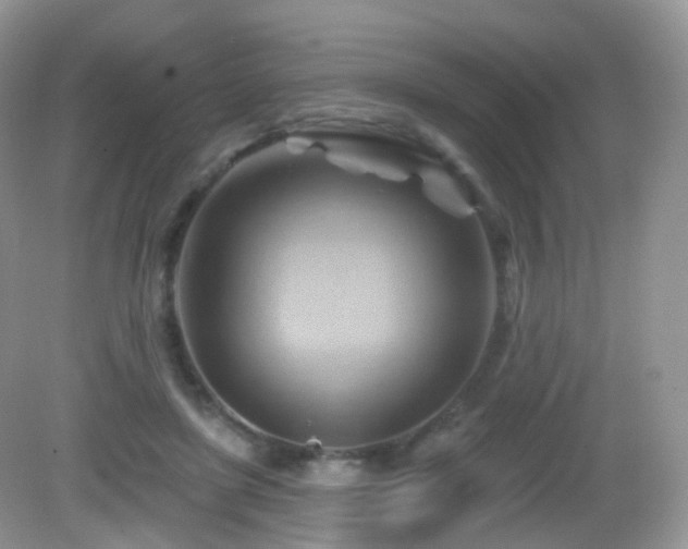 X0000083040451200702021156