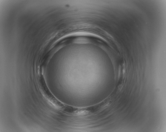 X0000083040452200702021156