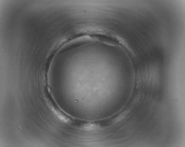 X0000083040453200702021156