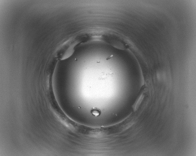 X0000083040454200702021156