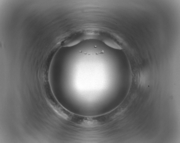 X0000083040455200702021156