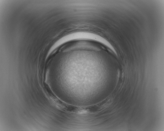 X0000083040456200702021156