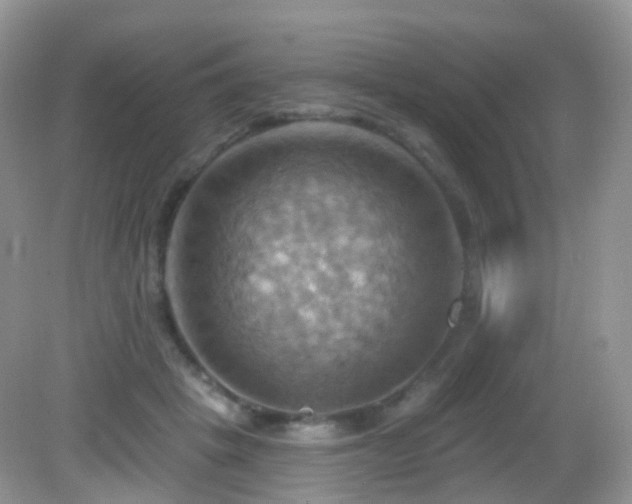 X0000083040457200702021156