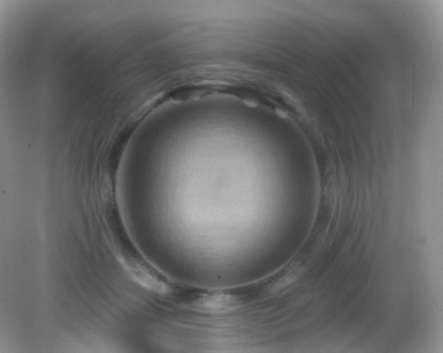 X0000083040459200702021156