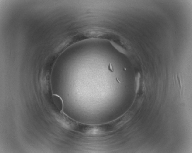 X0000083040460200702021156