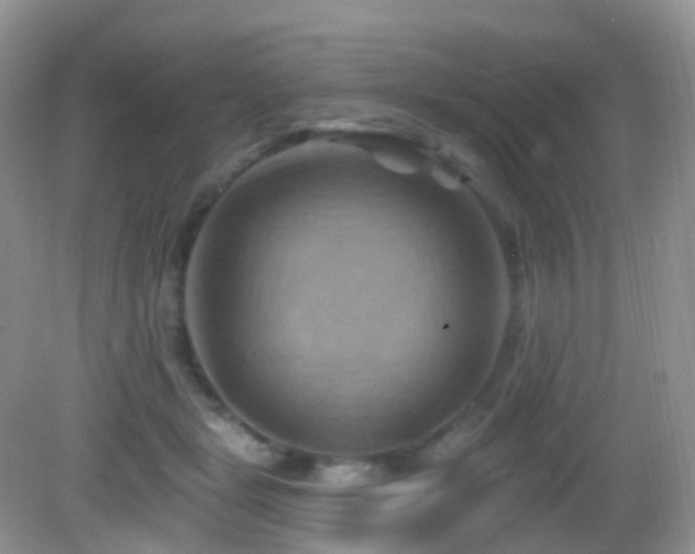 X0000083040461200702021156