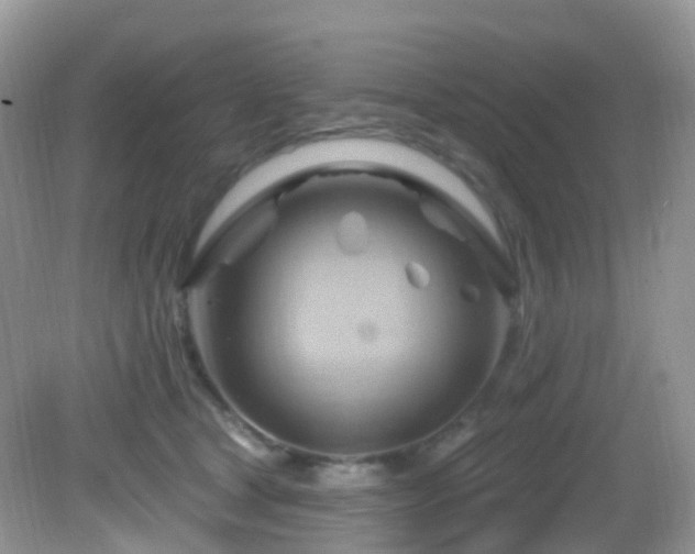 X0000083040465200702021156