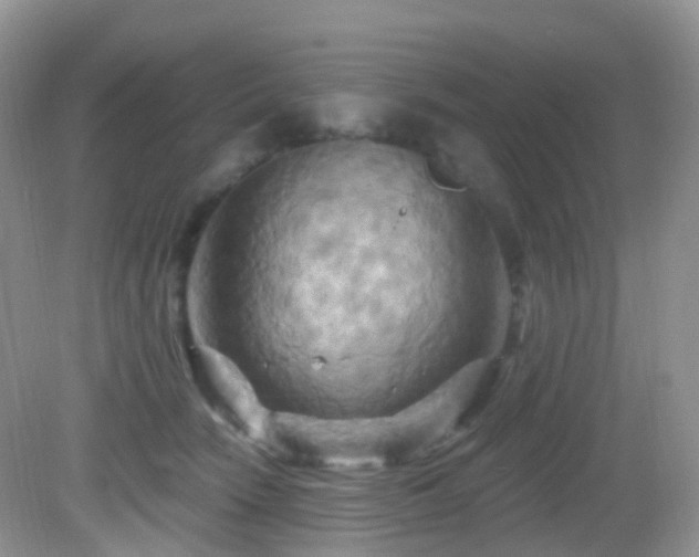 X0000083040466200702021156