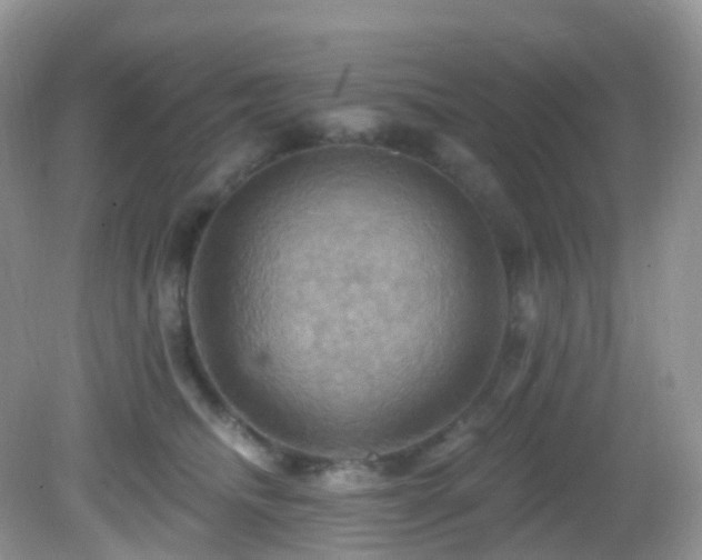 X0000083040468200702021156