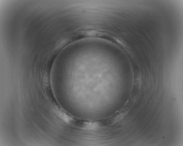 X0000083040469200702021156