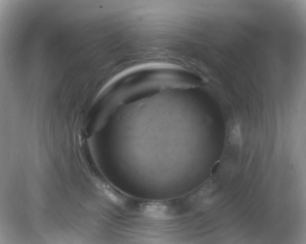 X0000083040471200702021156