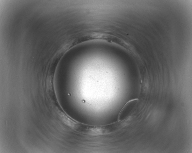 X0000083040473200702021156