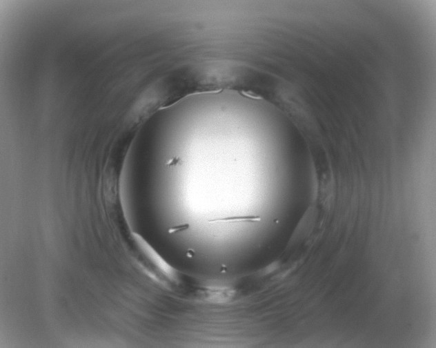 X0000083040474200702021156