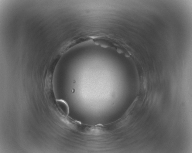 X0000083040475200702021156