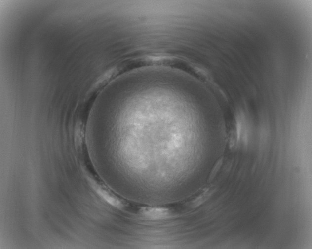 X0000083040476200702021156