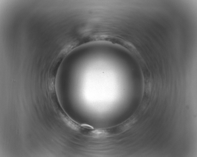 X0000083040477200702021156