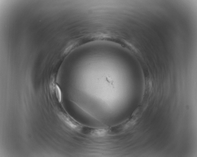 X0000083040479200702021156