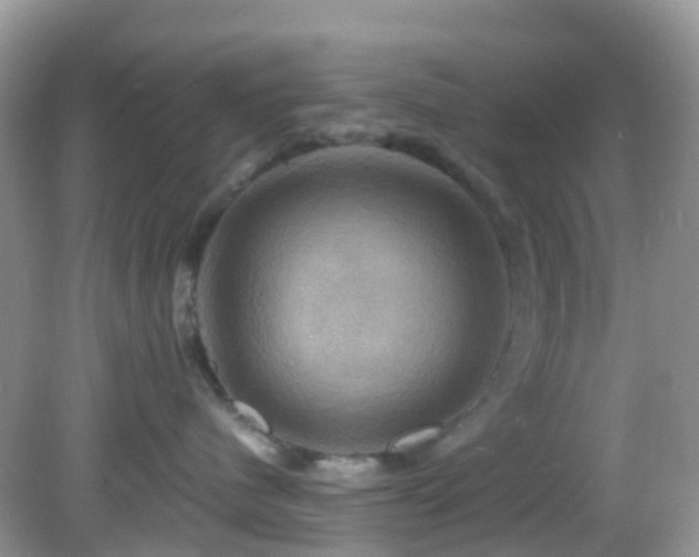 X0000083040480200702021156