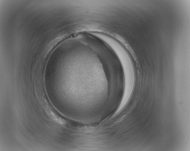 X0000083040481200702021156