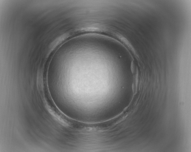 X0000083040482200702021156