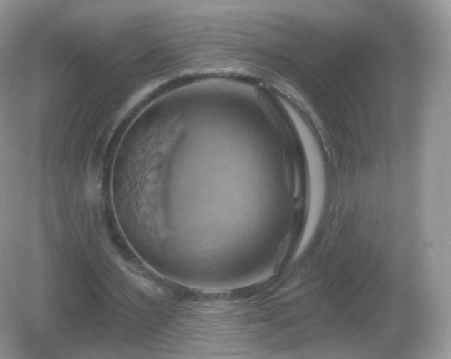 X0000083040483200702021156