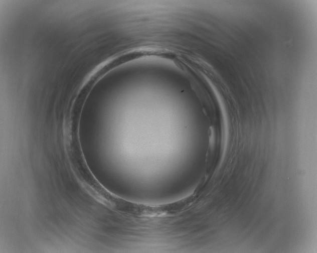 X0000083040484200702021156