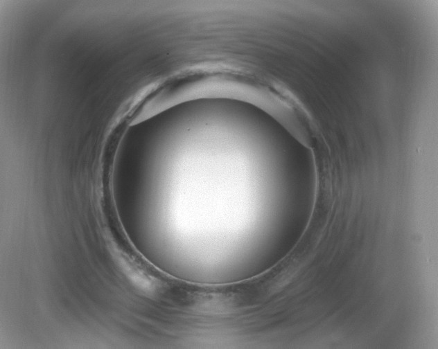 X0000083040486200702021156