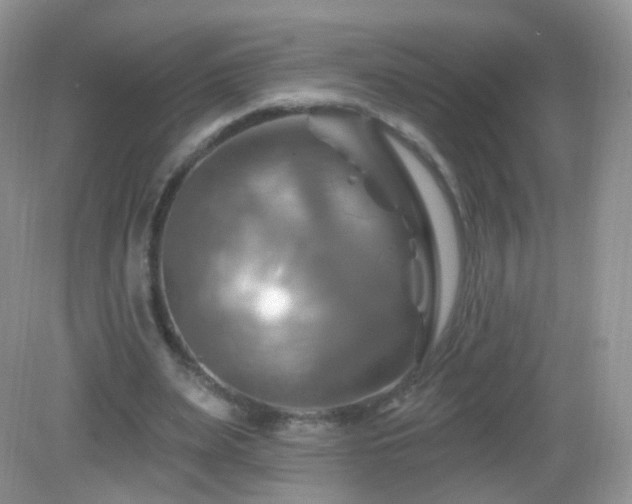 X0000083040487200702021156