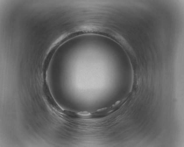 X0000083040488200702021156