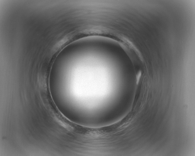 X0000083040489200702021156