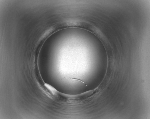 X0000083040490200702021155