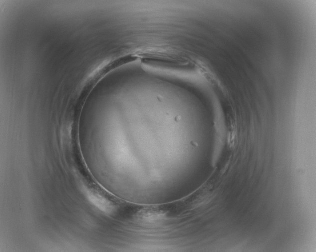 X0000083040491200702021155