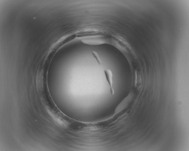 X0000083040492200702021155