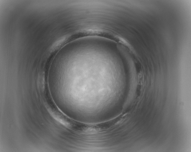 X0000083040494200702021155